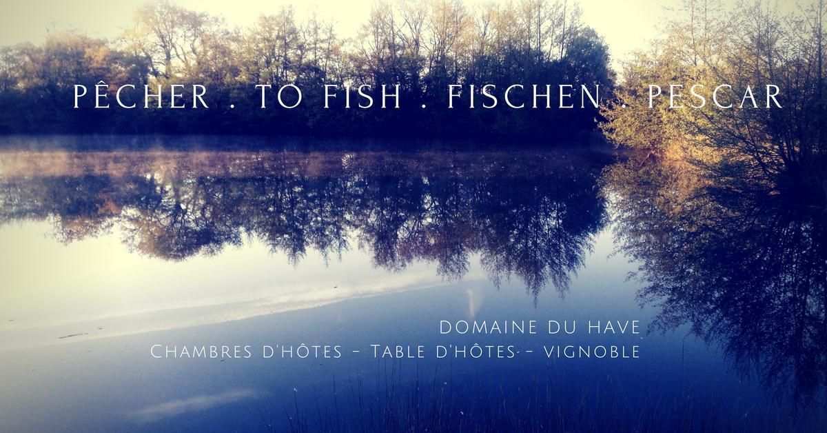 Domaine Du Have Bed & Breakfast Sainte-Christie-d'Armagnac Екстериор снимка